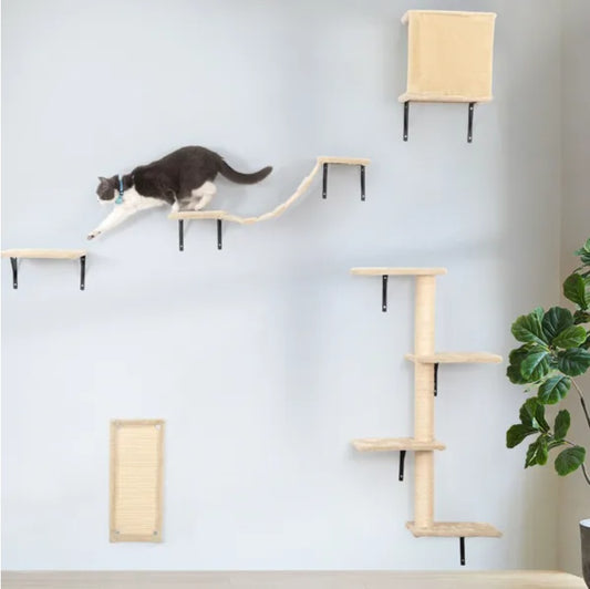 Ensemble de 5 structures murales pour chat avec griffoirs